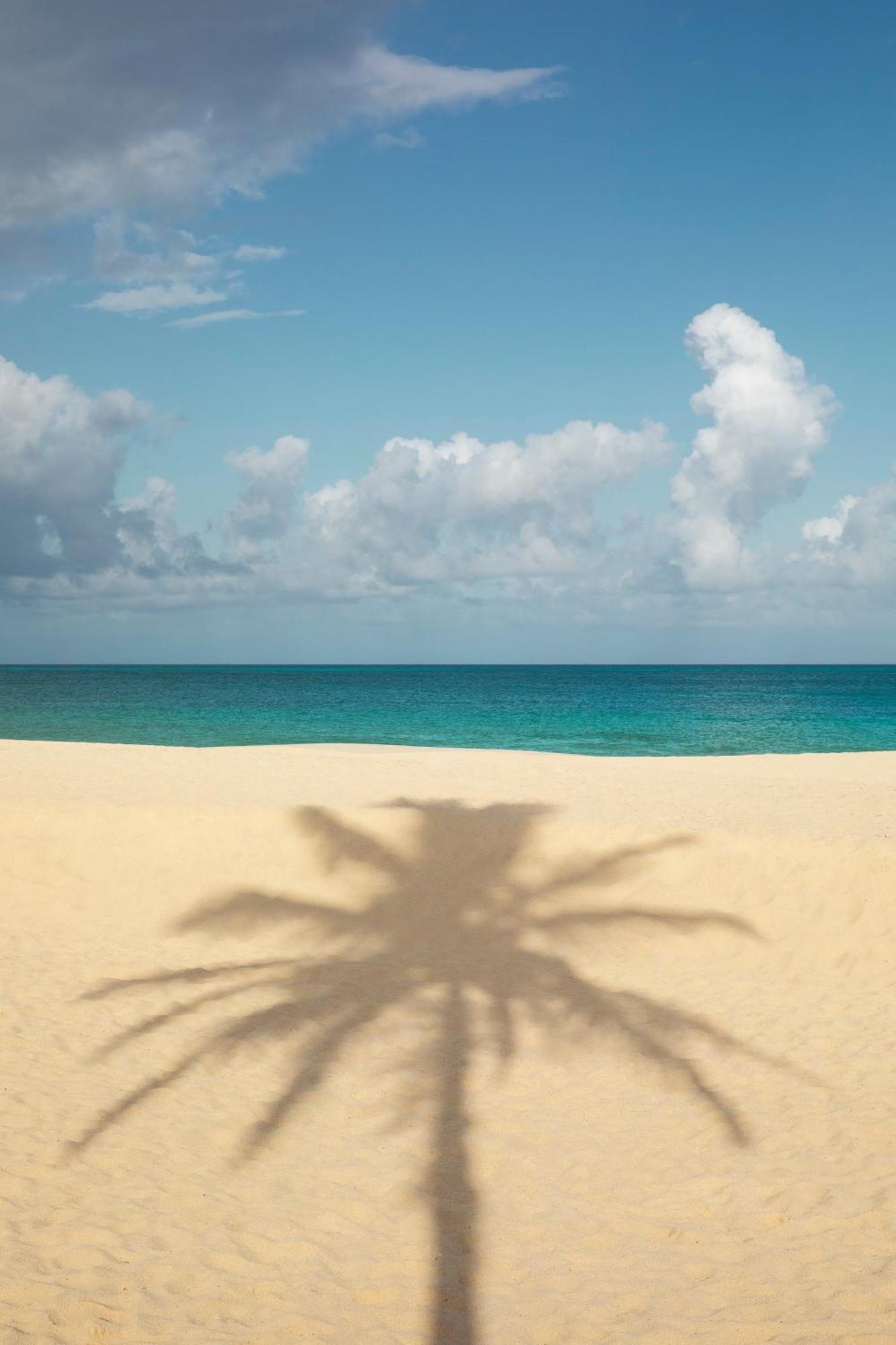 ホテル Joia Aruba By Iberostar パームビーチ エクステリア 写真